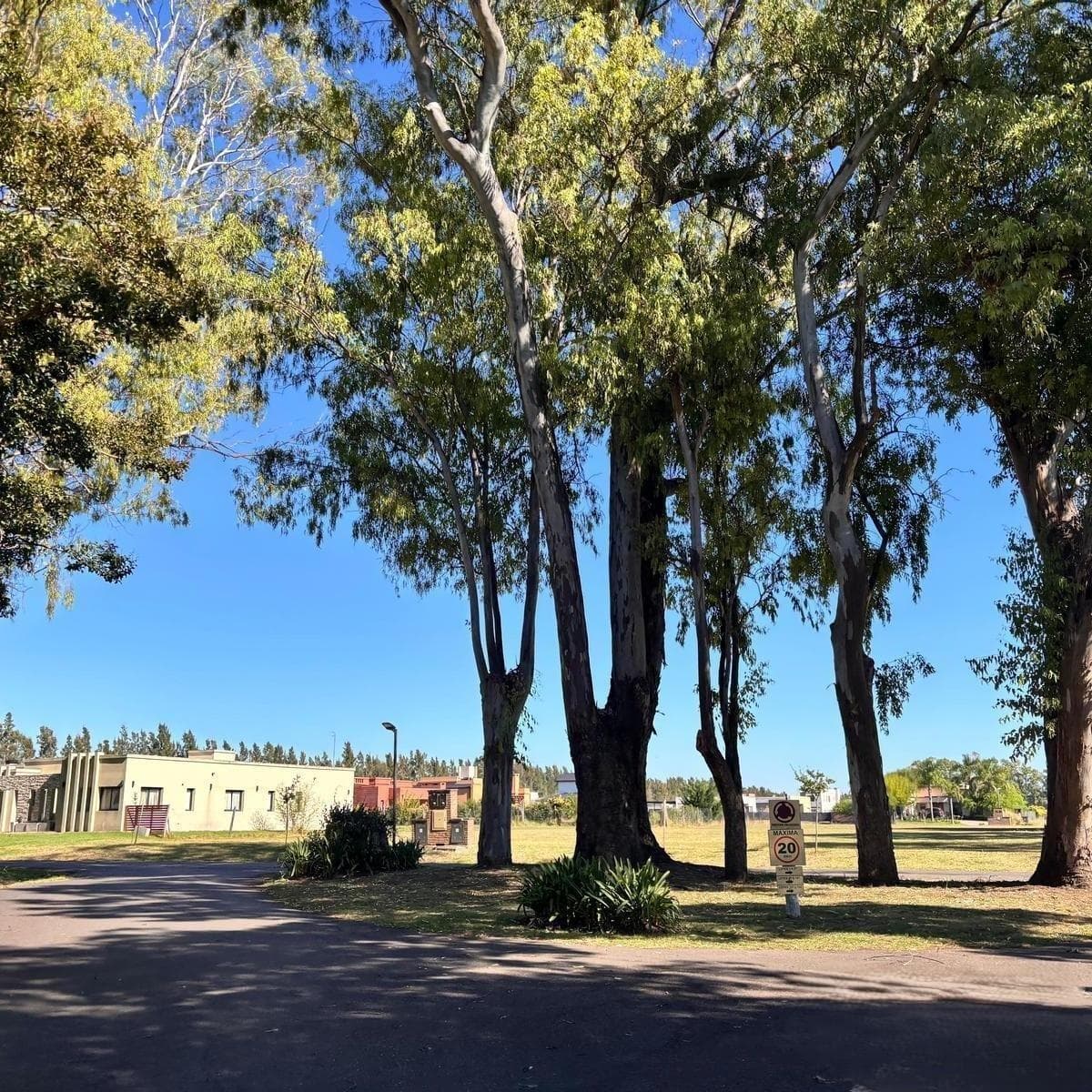 Lot 140 in the Matisse gated community, Los Cardales. Area: 1,007 m²