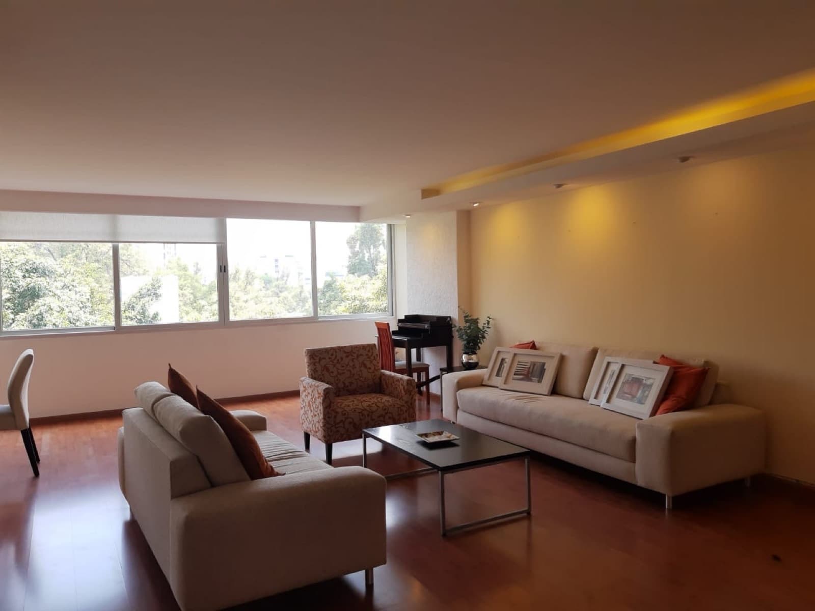 Apartment for Rent in Polanco—Furnished and Fully Equipped