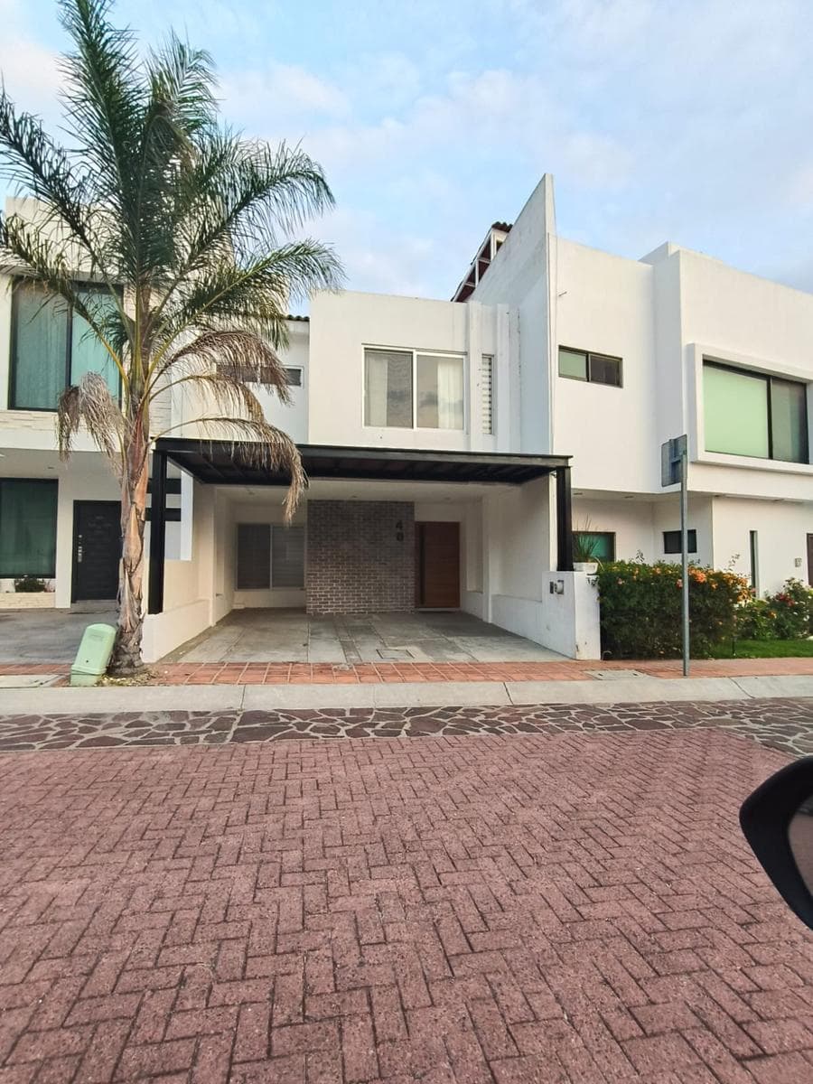 House for Rent in Pedregal de Shoestanth – A Balance Between Design and Tranquility