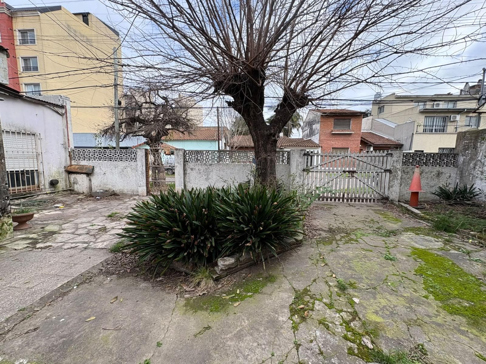 FOR SALE: 2 LOTS IN SAN MIGUEL