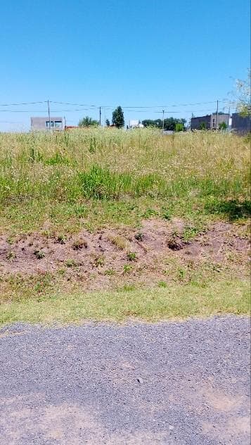 UNIQUE OPPORTUNITY: LAND
