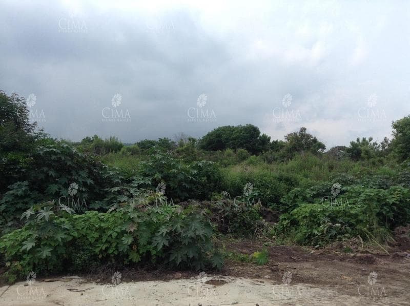 LAND FOR SALE WITH DEEDS IN CUERNAVACA - T9-1