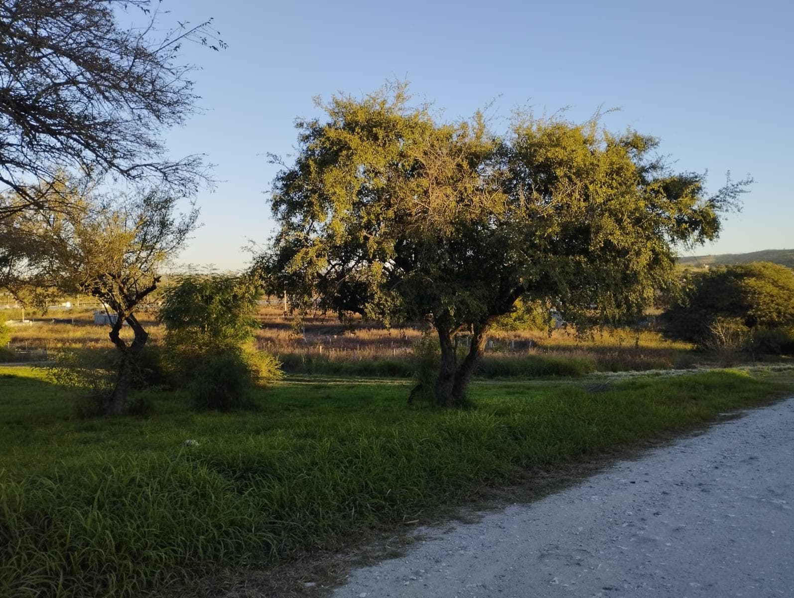 Land in the Anisacate Valley