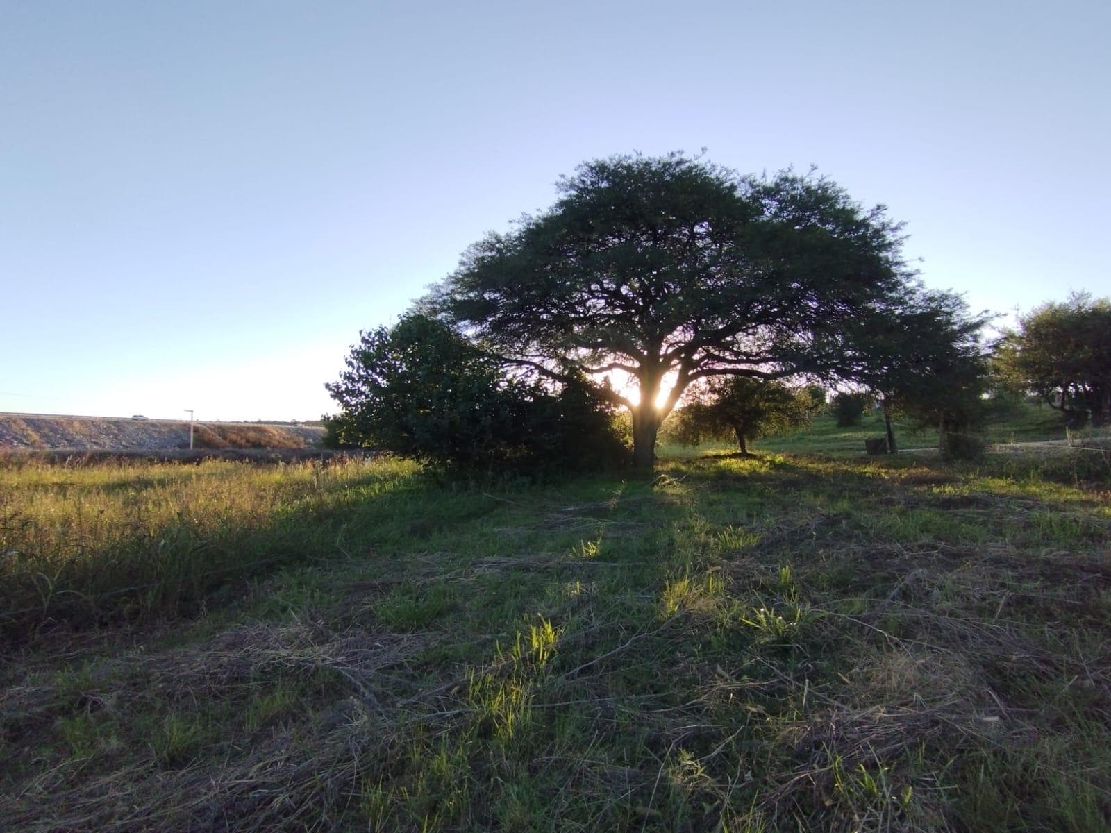 Land in the Anisacate Valley