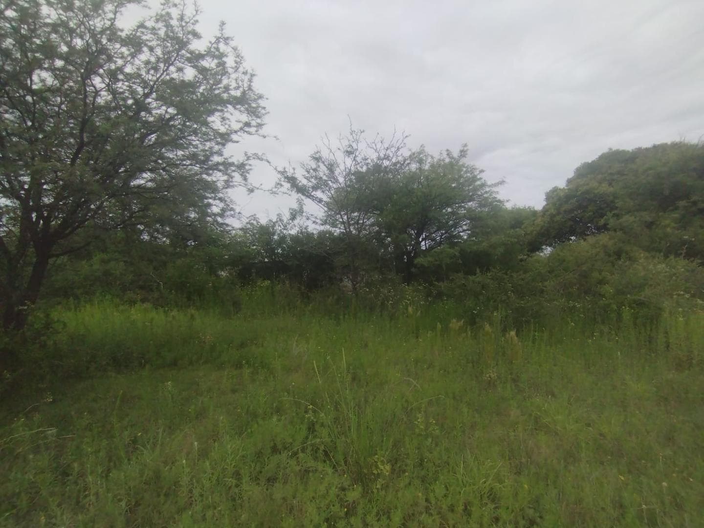 Land in Jose De La Quintana