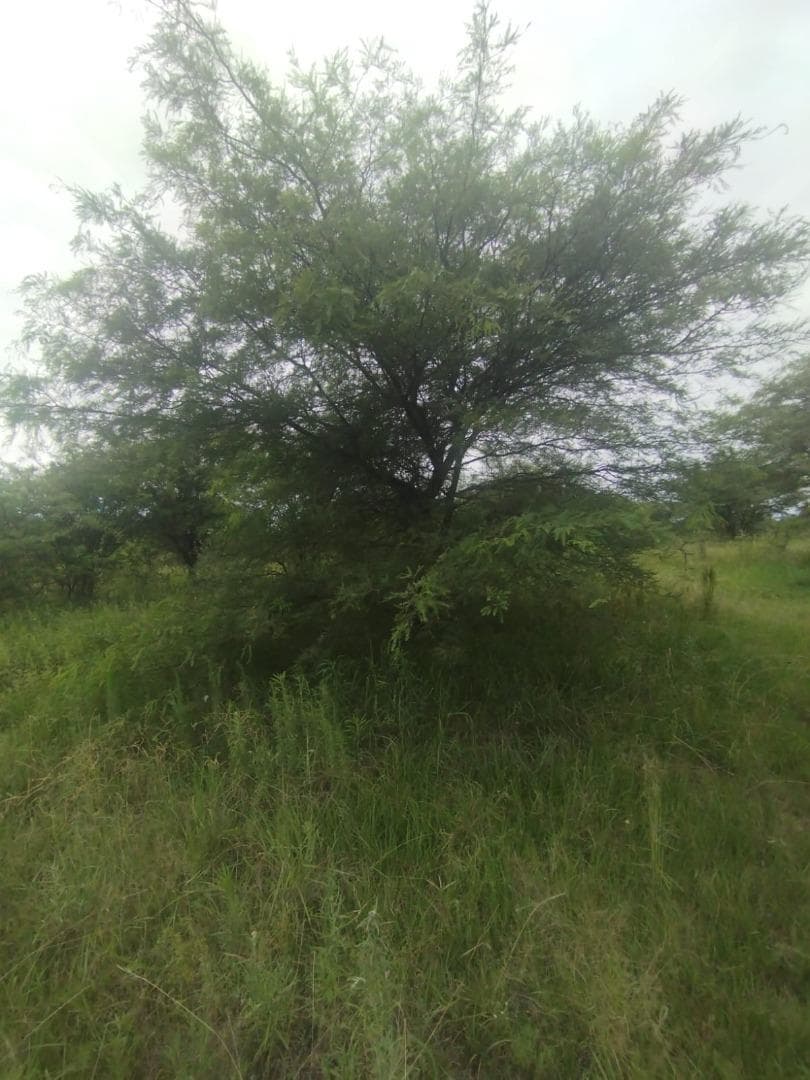 Land in Jose De La Quintana