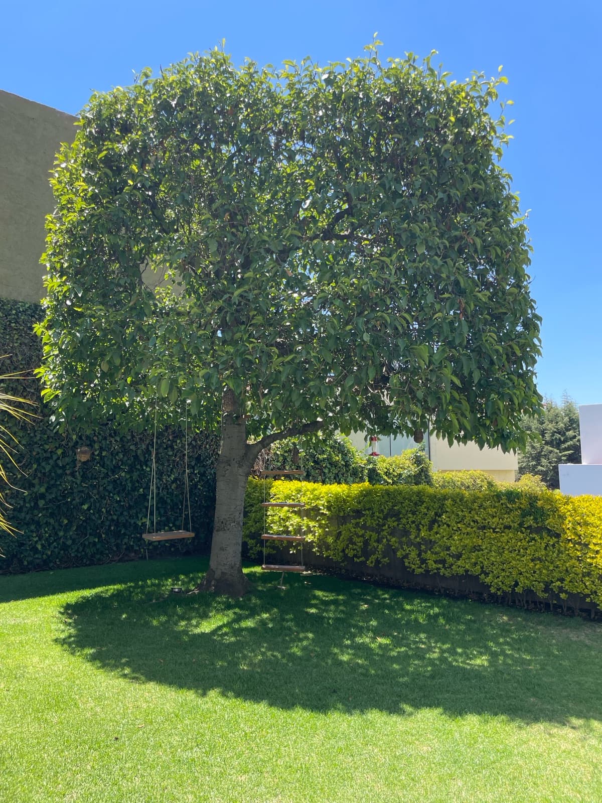 House - Esmeralda Area
