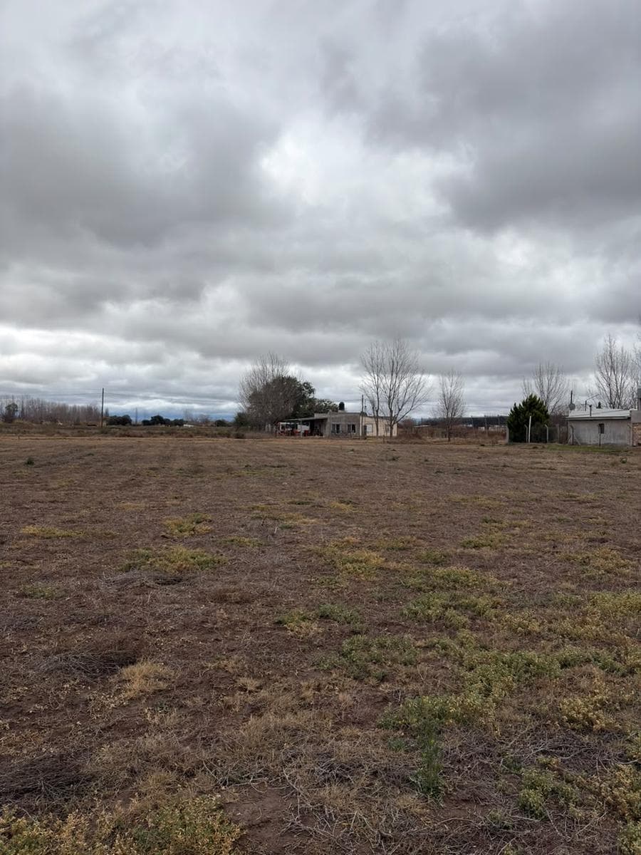 Land in General Alvear