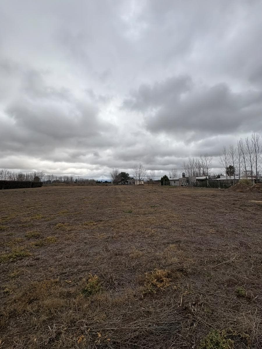 Land in General Alvear