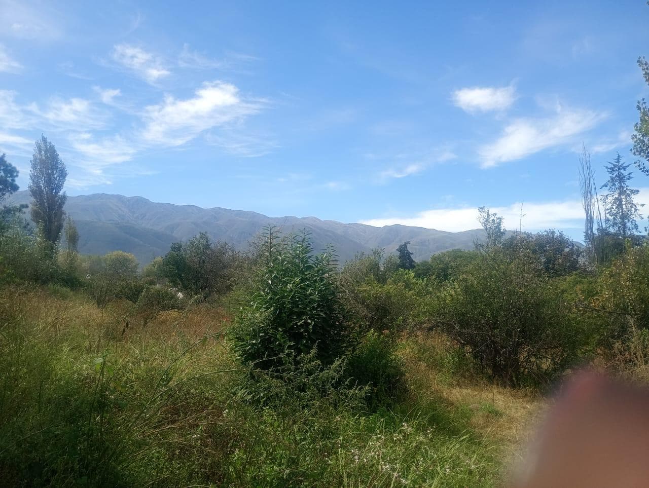 Land in Tafi Del Valle