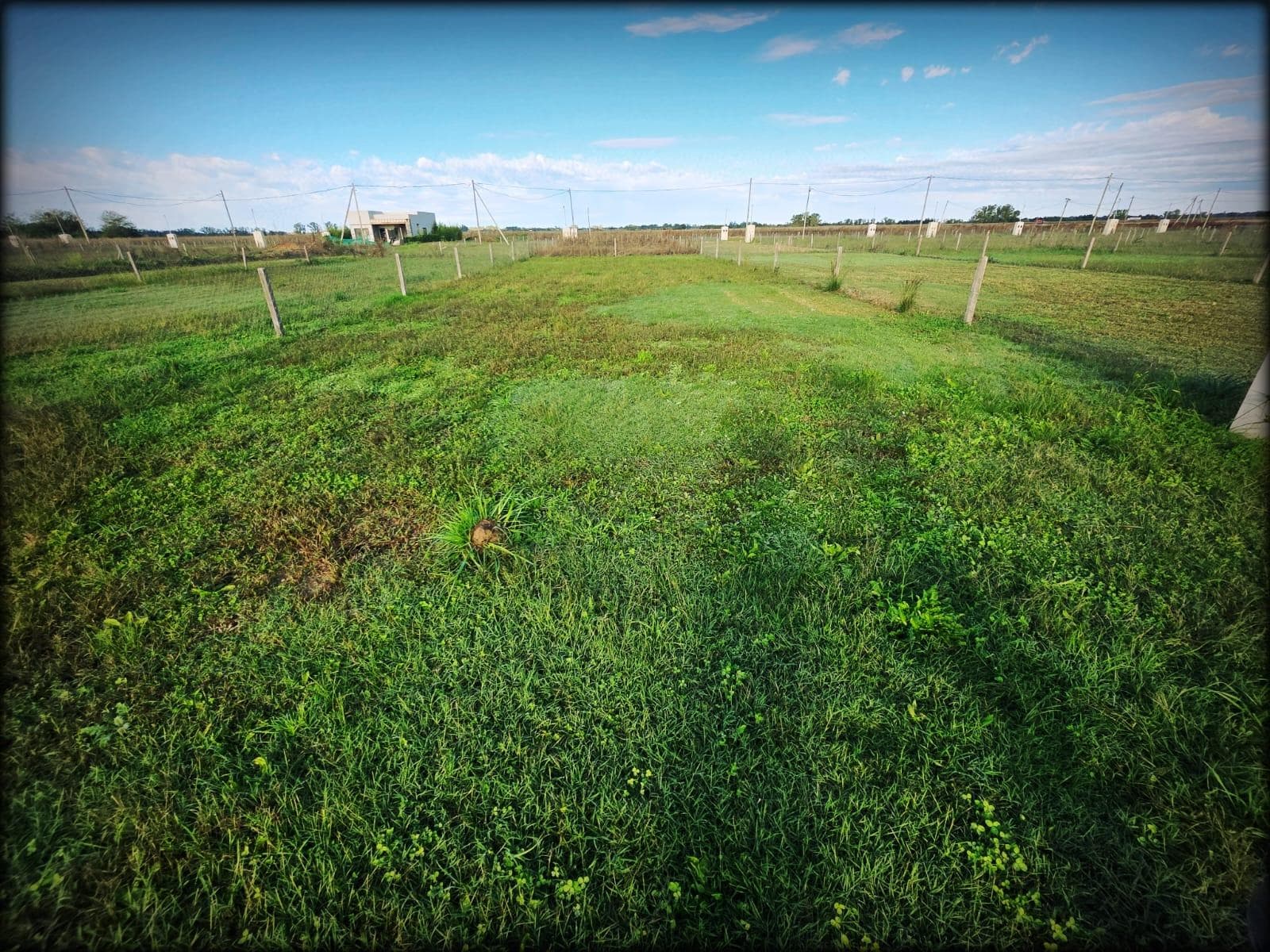 Lot in La Reserva del Oeste, PHASE 1, FLAMENCO AREA