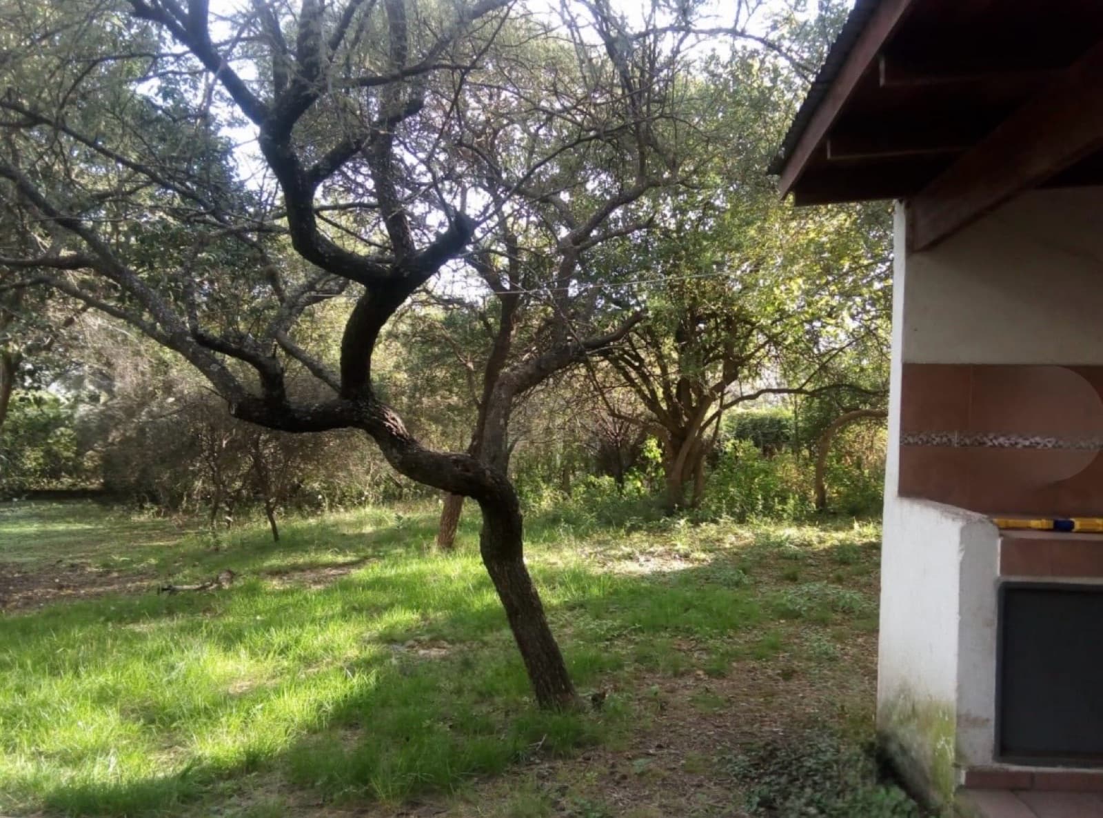 Land for sale, with a barbecue area.