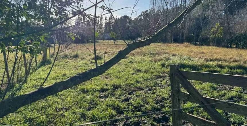 Lot for Sale in the El Rodeo Neighborhood