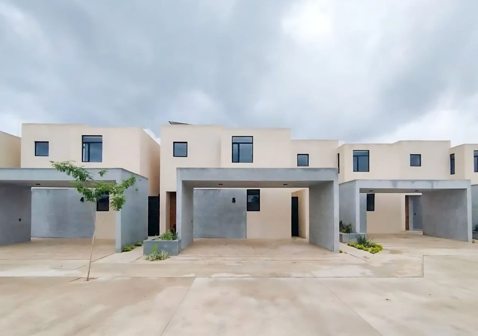 Home - Dzityá