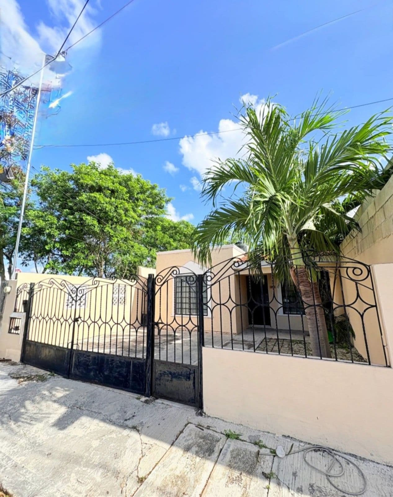 Home - Francisco de Montejo