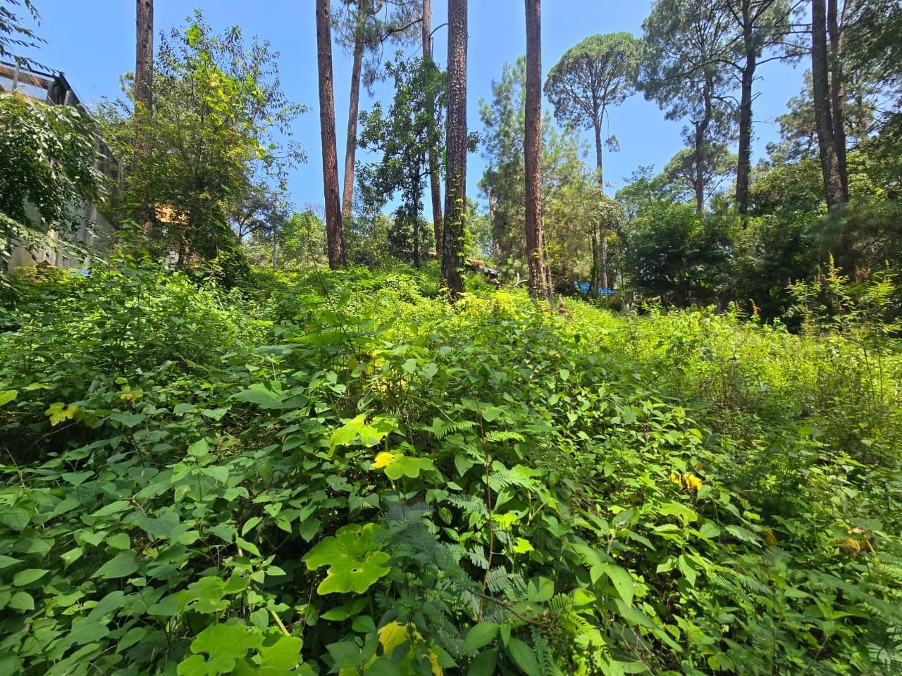 Land for Sale in Avándaro