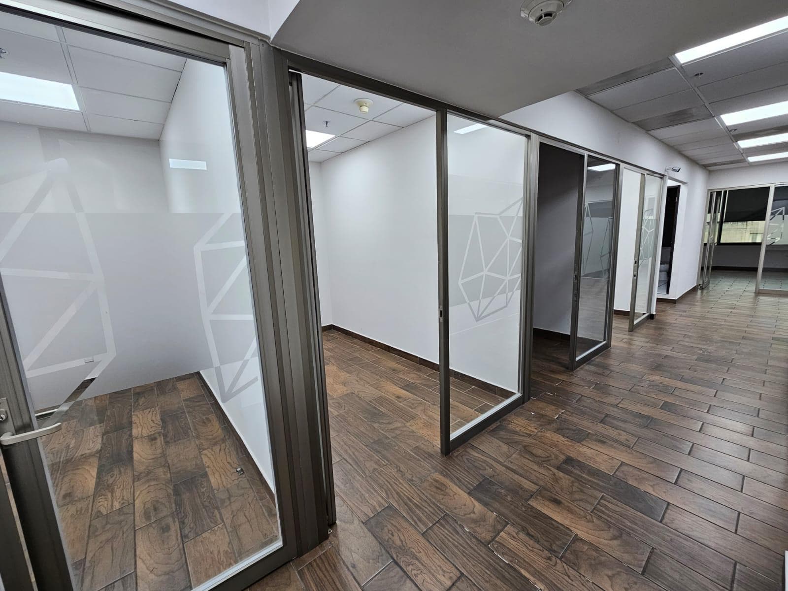 Office in Lomas de Chapultepec