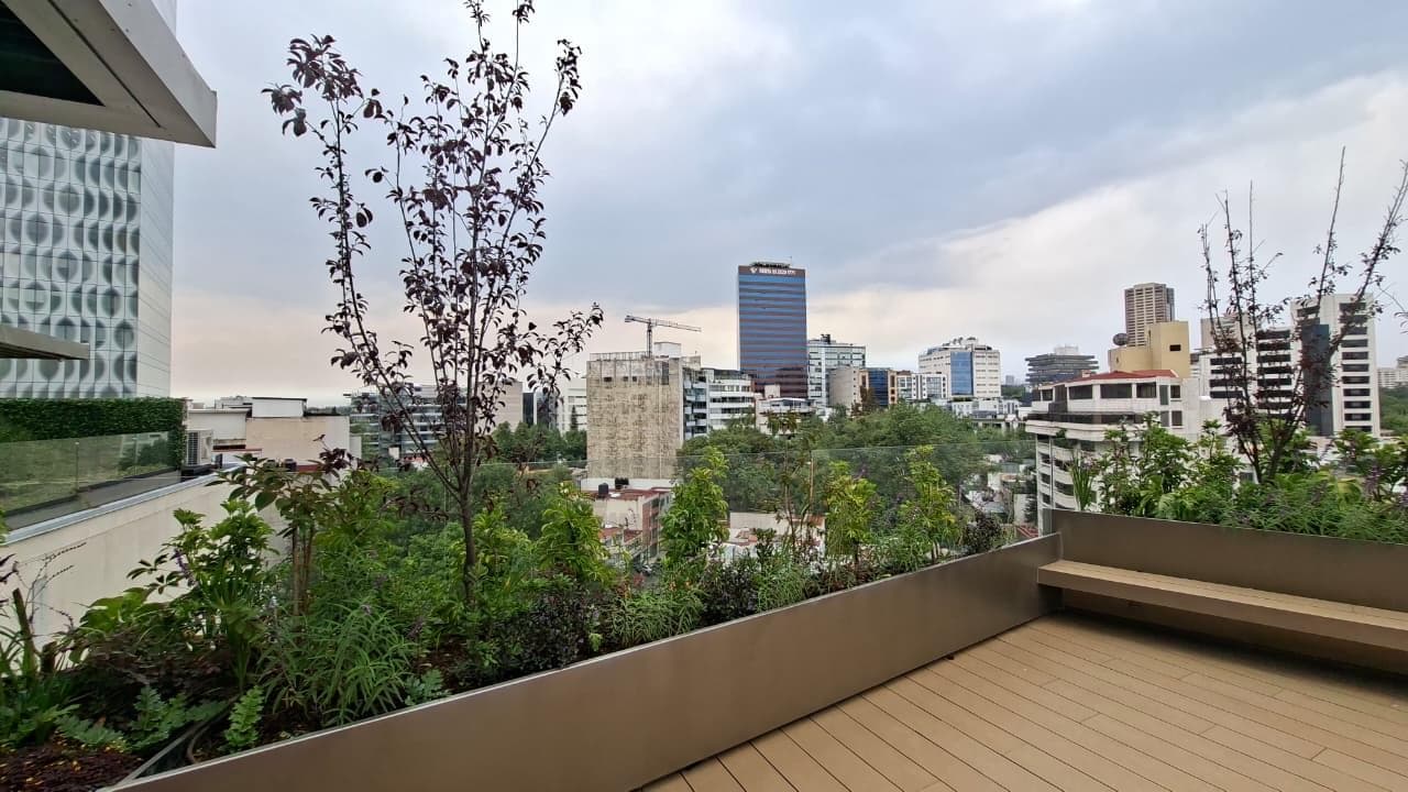 Office in Lomas de Chapultepec