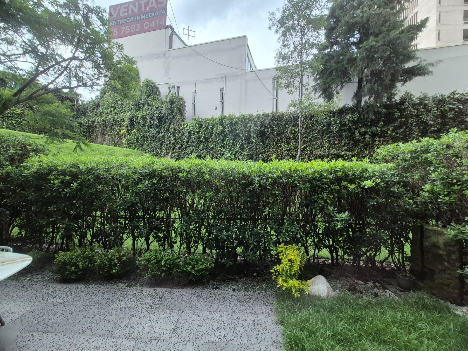 Suite for RENT in Álvaro Obregón, across from the Santa Fé Cuajimalpa Shopping Center on Reforma Santa Fé
