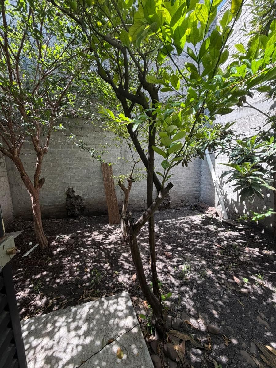House for Rent Across from the Park, 2 Patios, and a 2-Car Garage, Col. Morelos, Querétaro, in Morelos
