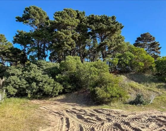 LAND FOR SALE IN MAR DE LAS PAMPAS