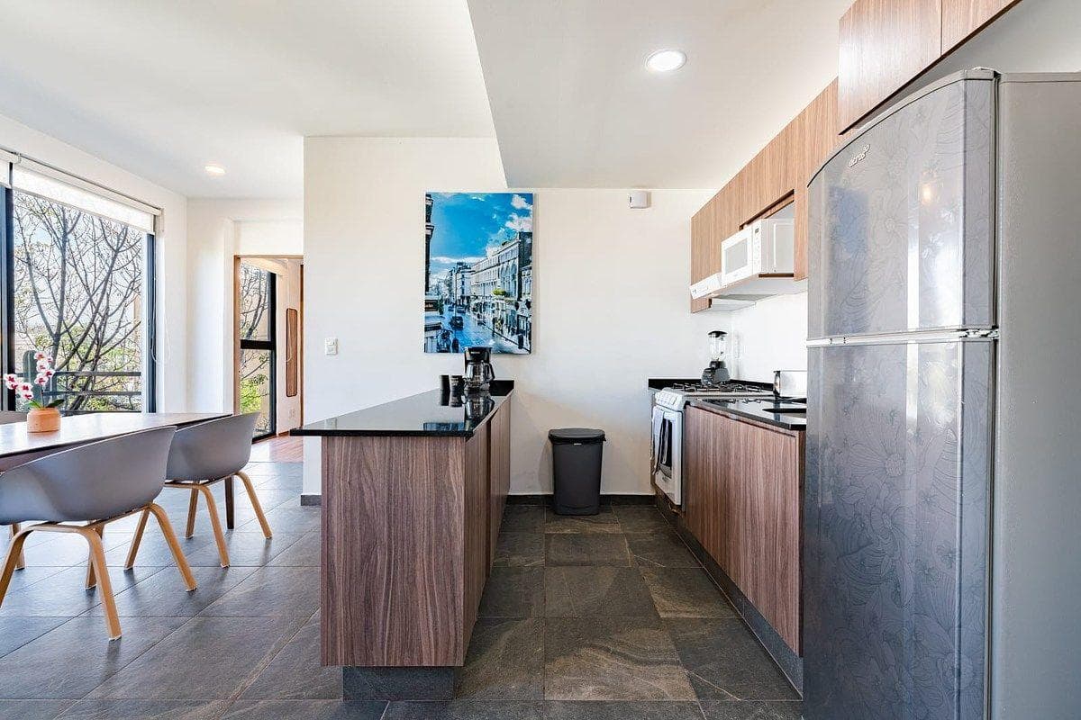 Apartment with a HUGE rooftop garden just steps from the Roma neighborhood.
