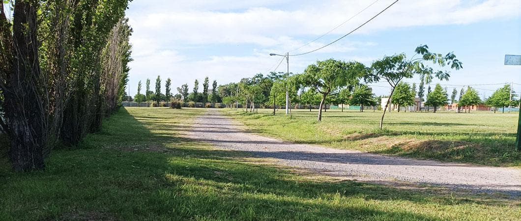 Lot for Sale - IBARLUCEA - CASUARINAS GATED COMMUNITY (LOGARITMO)