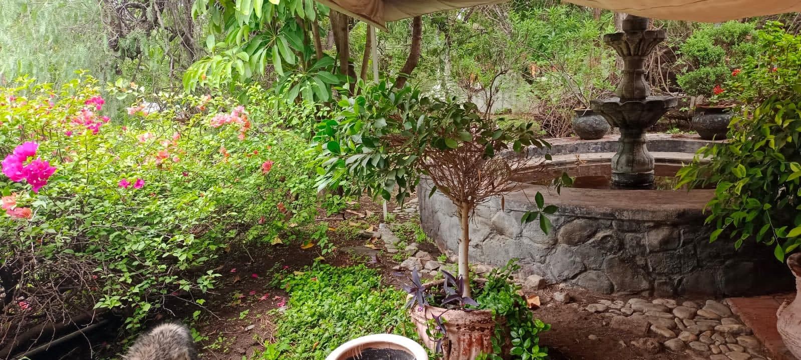 Casa en venta en JURICA