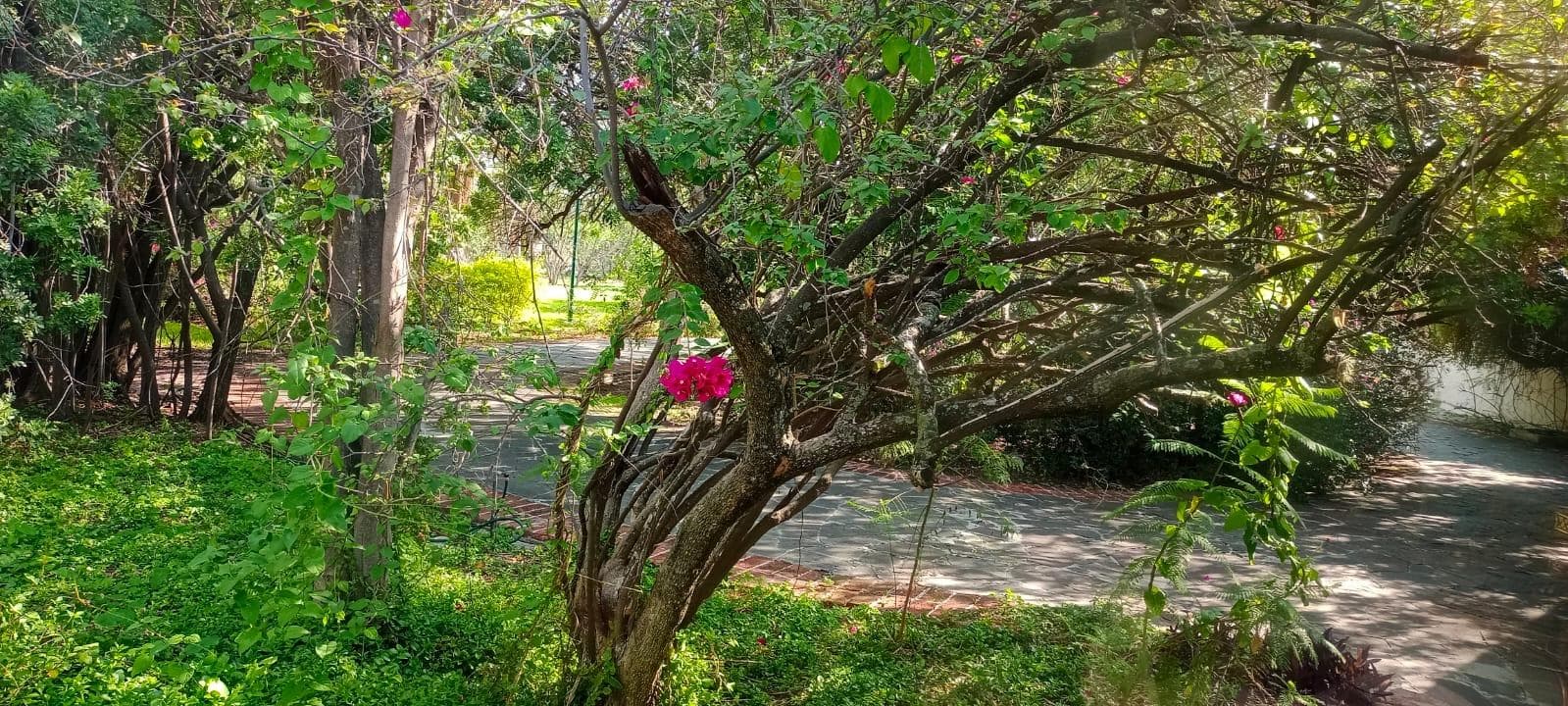 Casa en venta en JURICA