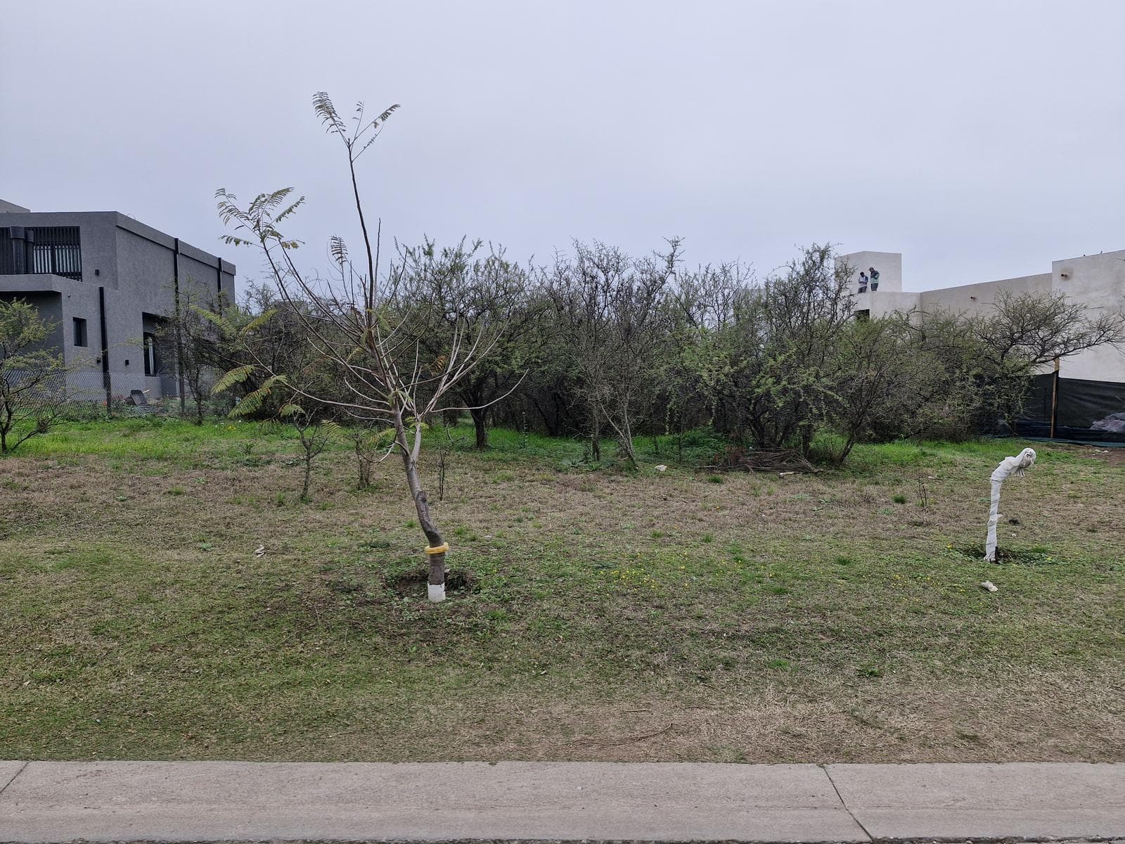 EL TERRON - LOT FOR SALE - EXCELLENT LOCATION - FLOOR PLAN