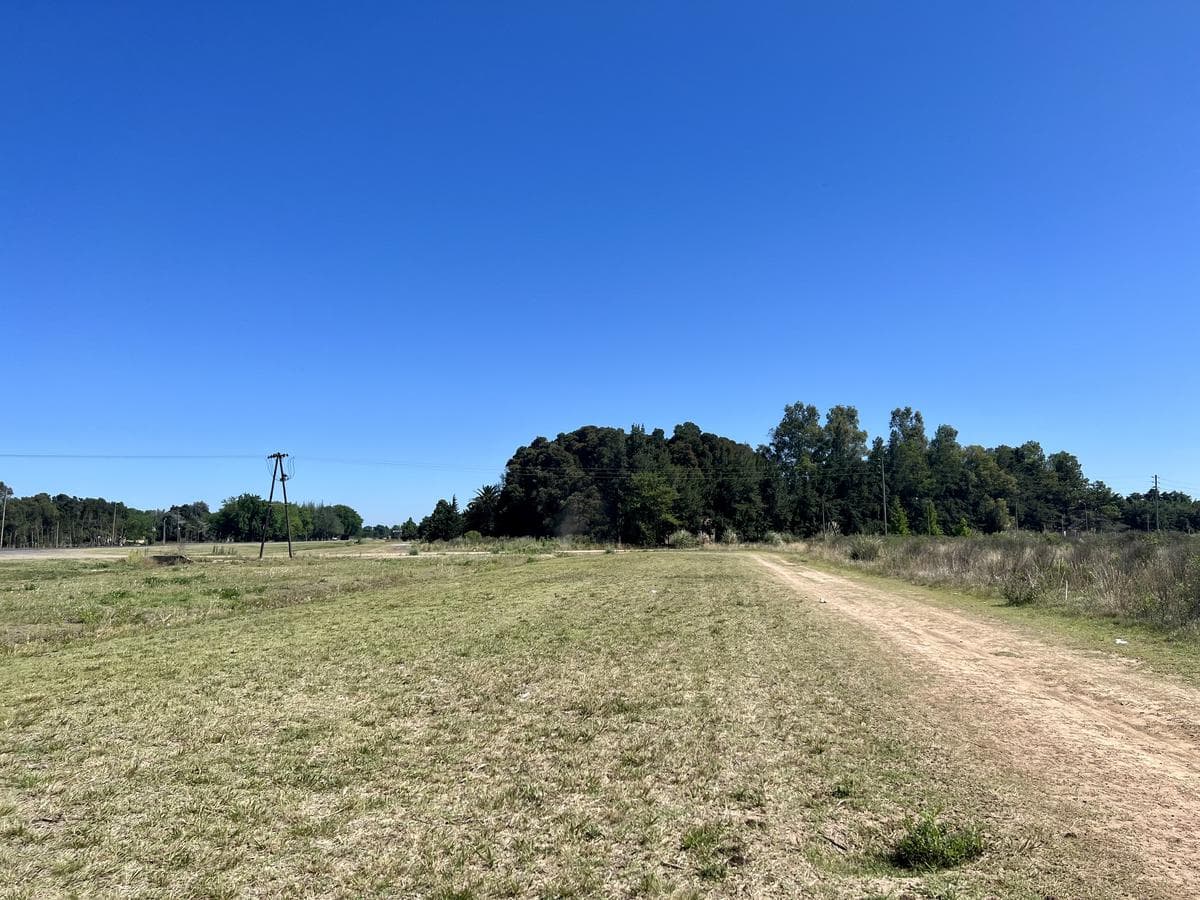 Land for Sale in the Vinelli Neighborhood - Lobos