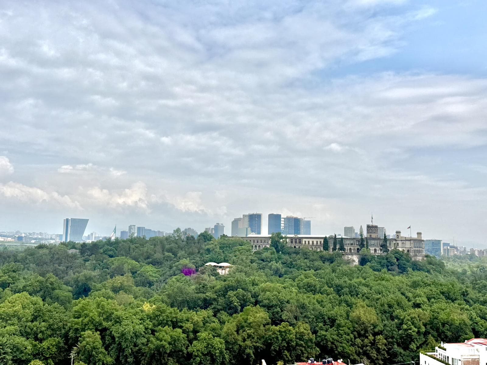 Apartment in La Condesa with a rooftop garden overlooking Chapultepec Castle