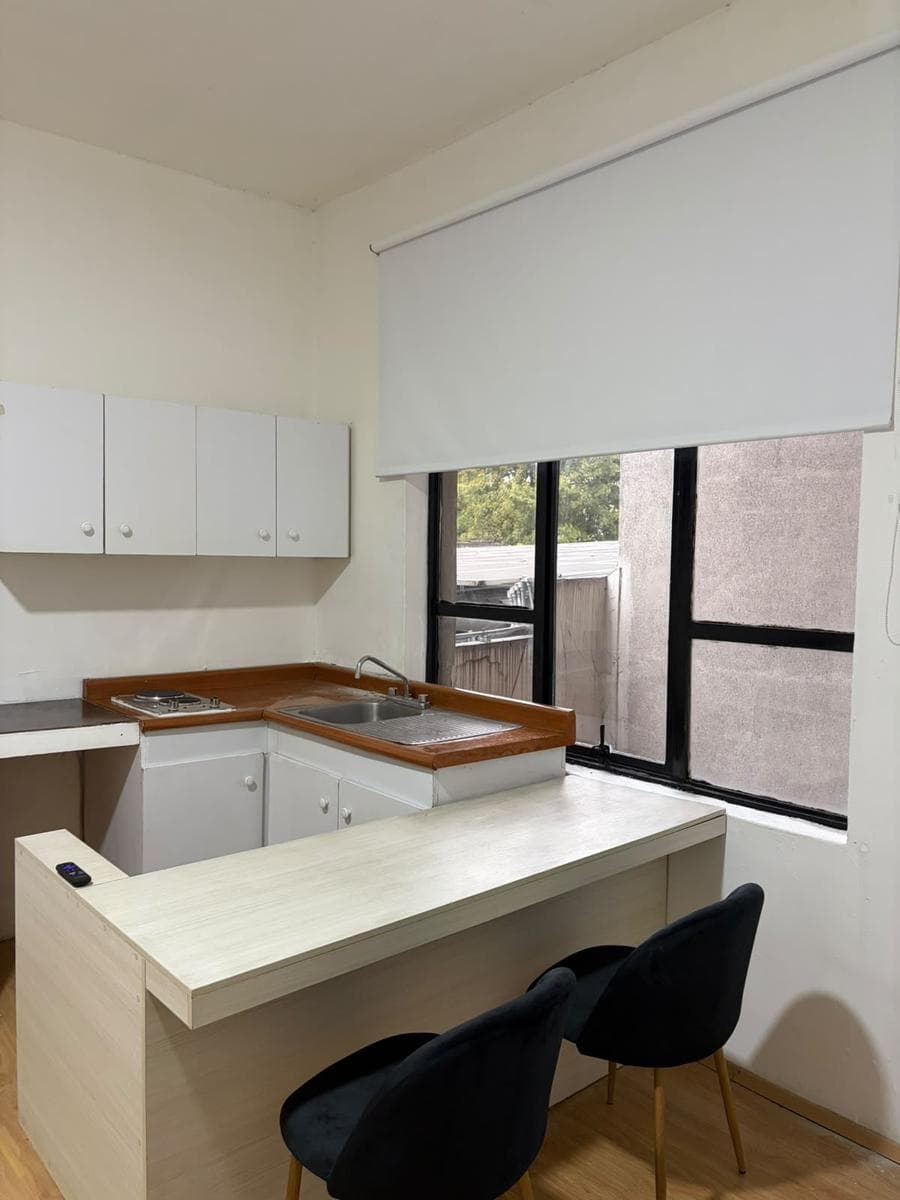 Beautiful, Bright Apartment in the Roma Neighborhood