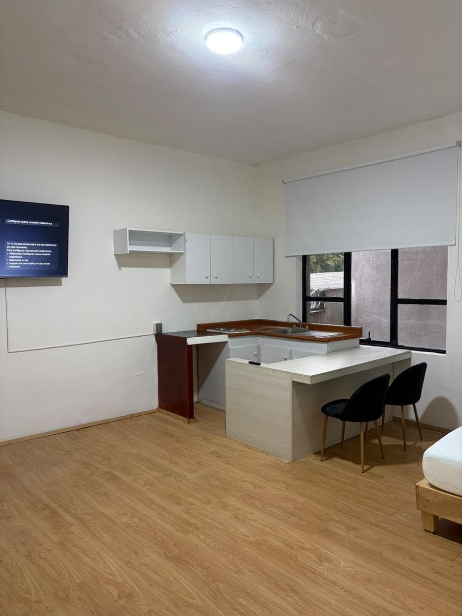 Beautiful, Bright Apartment in the Roma Neighborhood