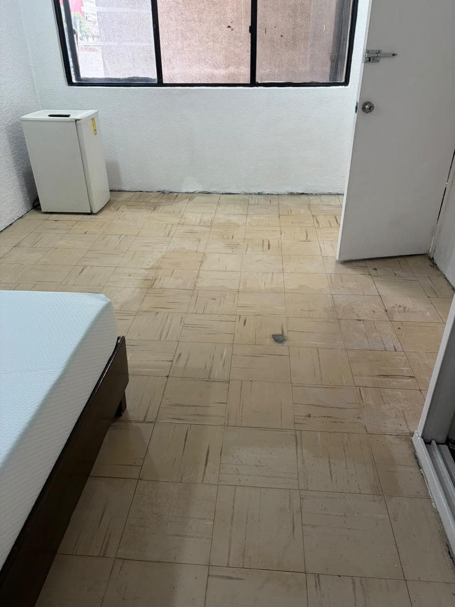 Stunning, Bright One-Bedroom Apartment in the Roma Neighborhood