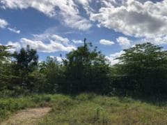 Land for Sale in Cancún