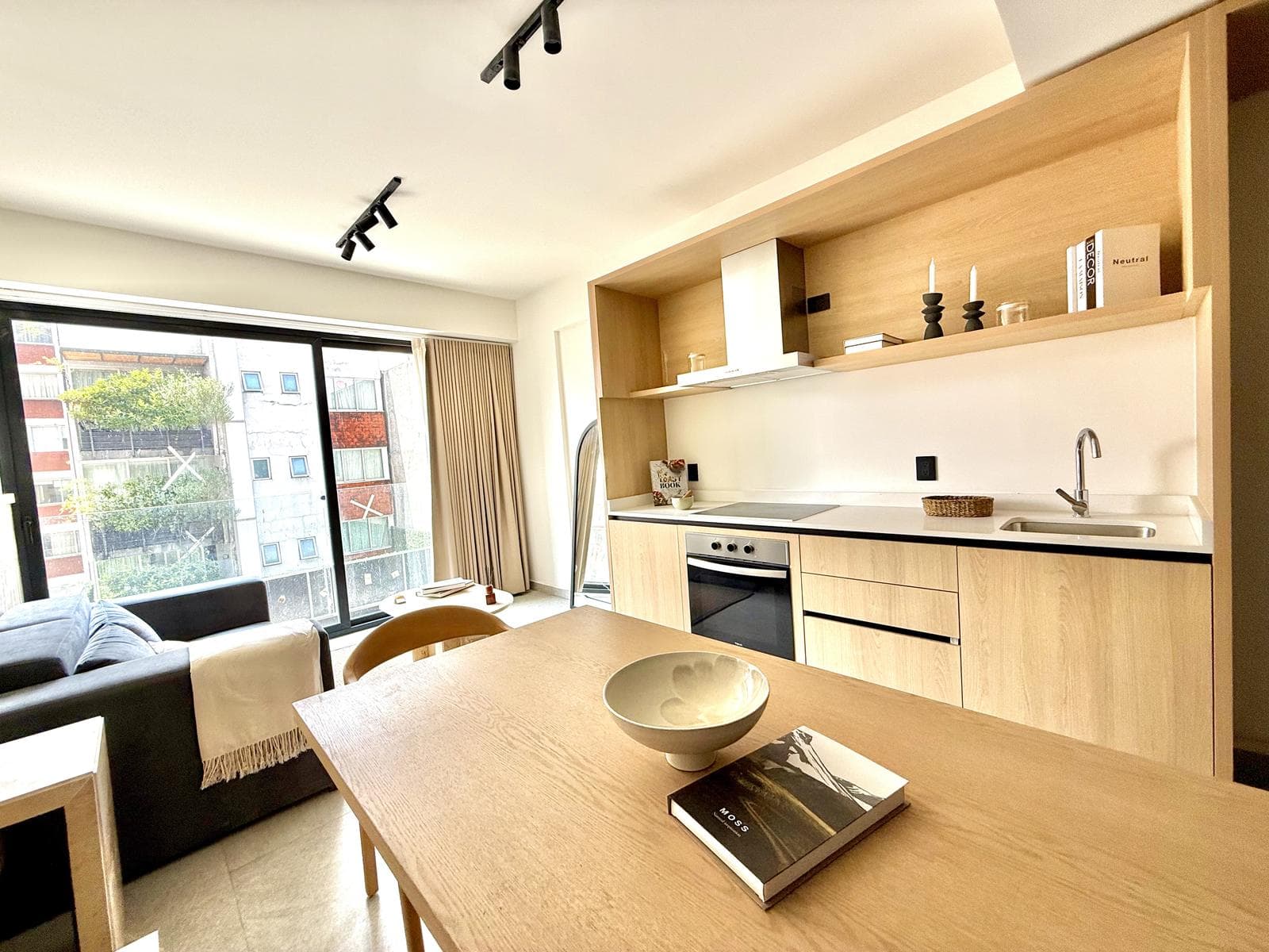 Apartment in La Condesa with a rooftop overlooking Chapultepec Forest