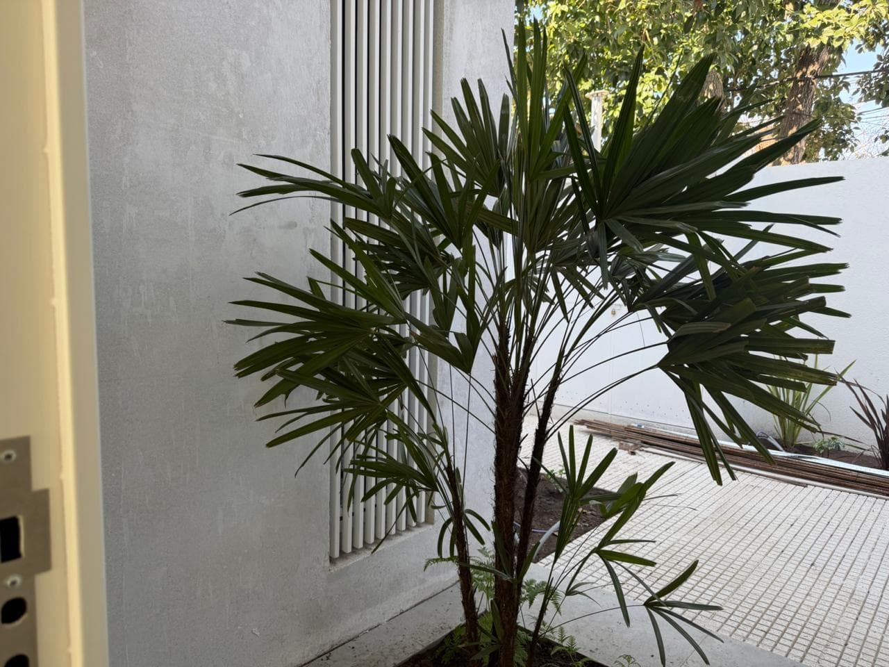 Brand-New House for Sale in Punta Chica, San Isidro.