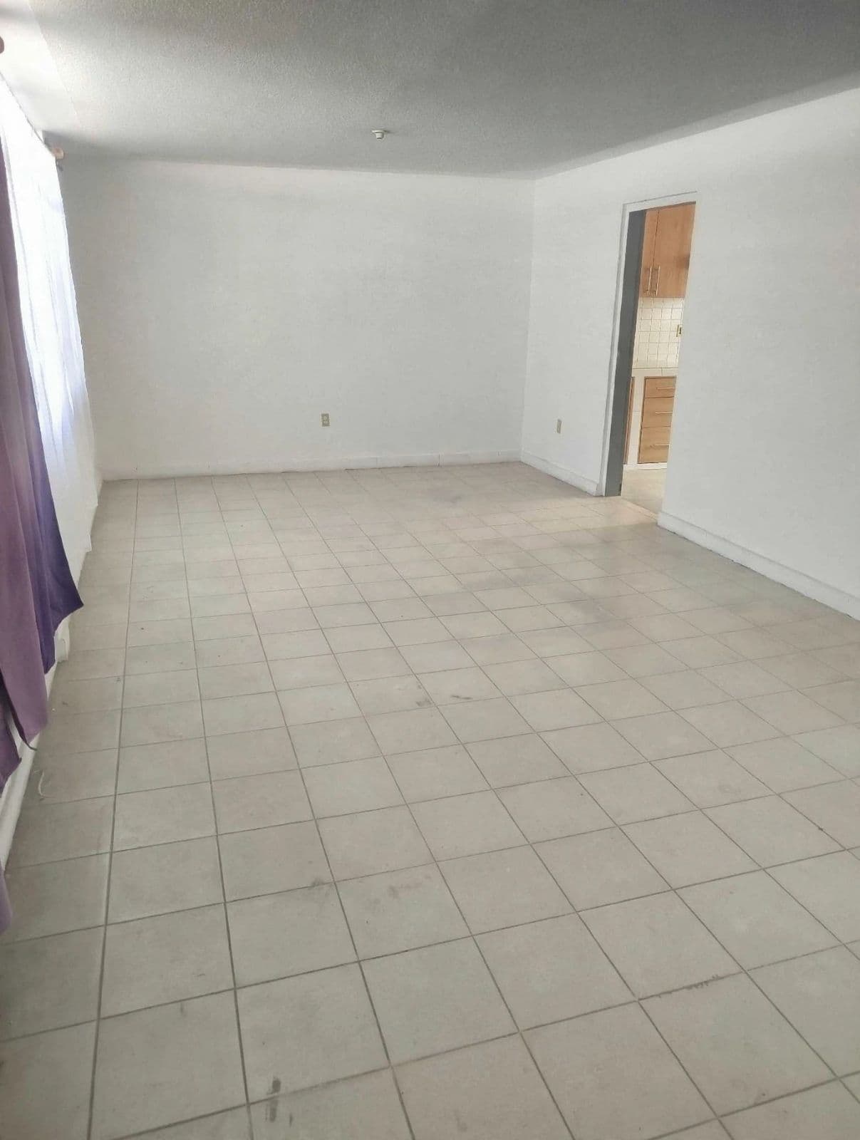 Apartment in the Downtown Area