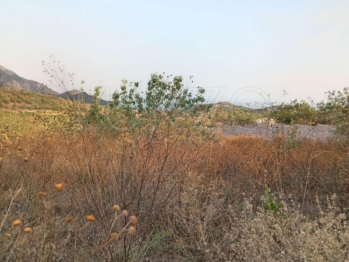 Land for Sale in Tepoztlan