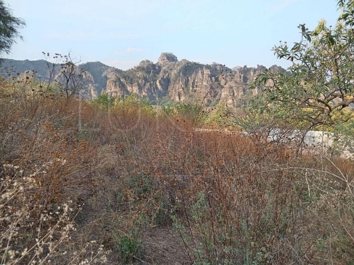 Land for Sale in Tepoztlan