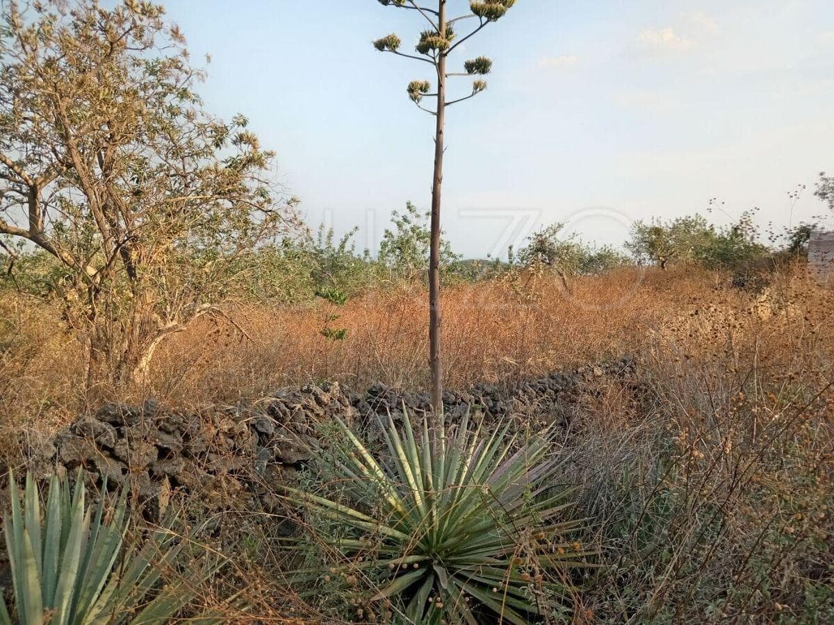Land for Sale in Tepoztlan