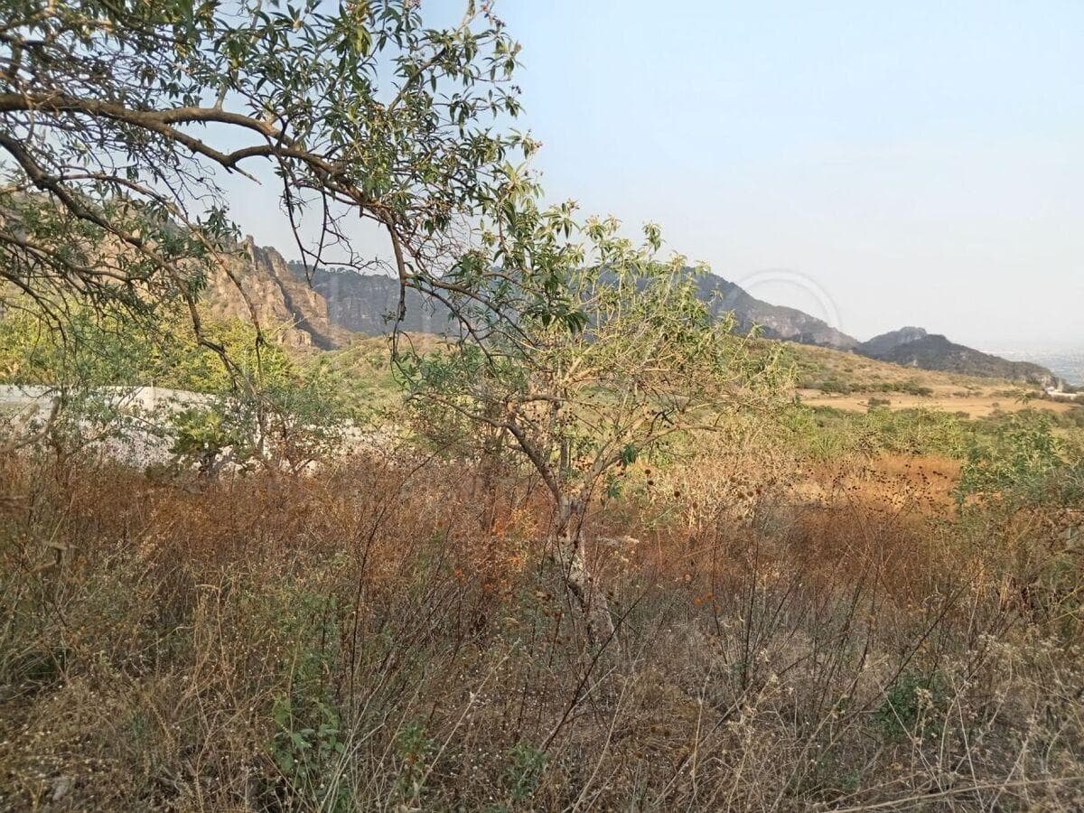 Land for Sale in Tepoztlan