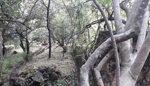 Land for Sale in Tepoztlan