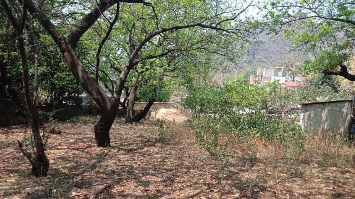 Land for Sale in Tepoztlán, Morelos