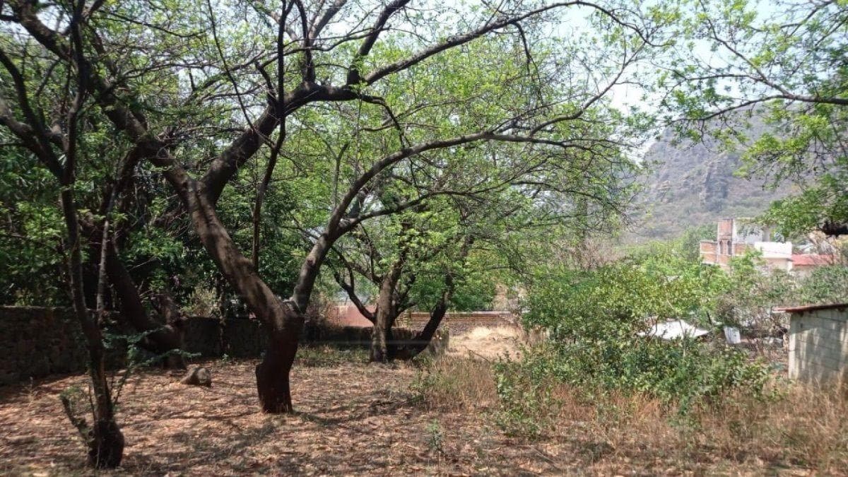 Land for Sale in Tepoztlán, Morelos