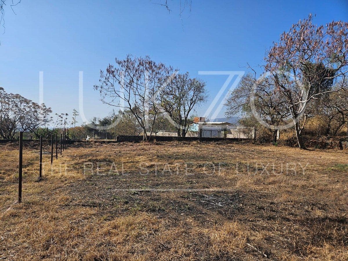 Land for Sale in Santiago Tepetlapa, Tepoztlán