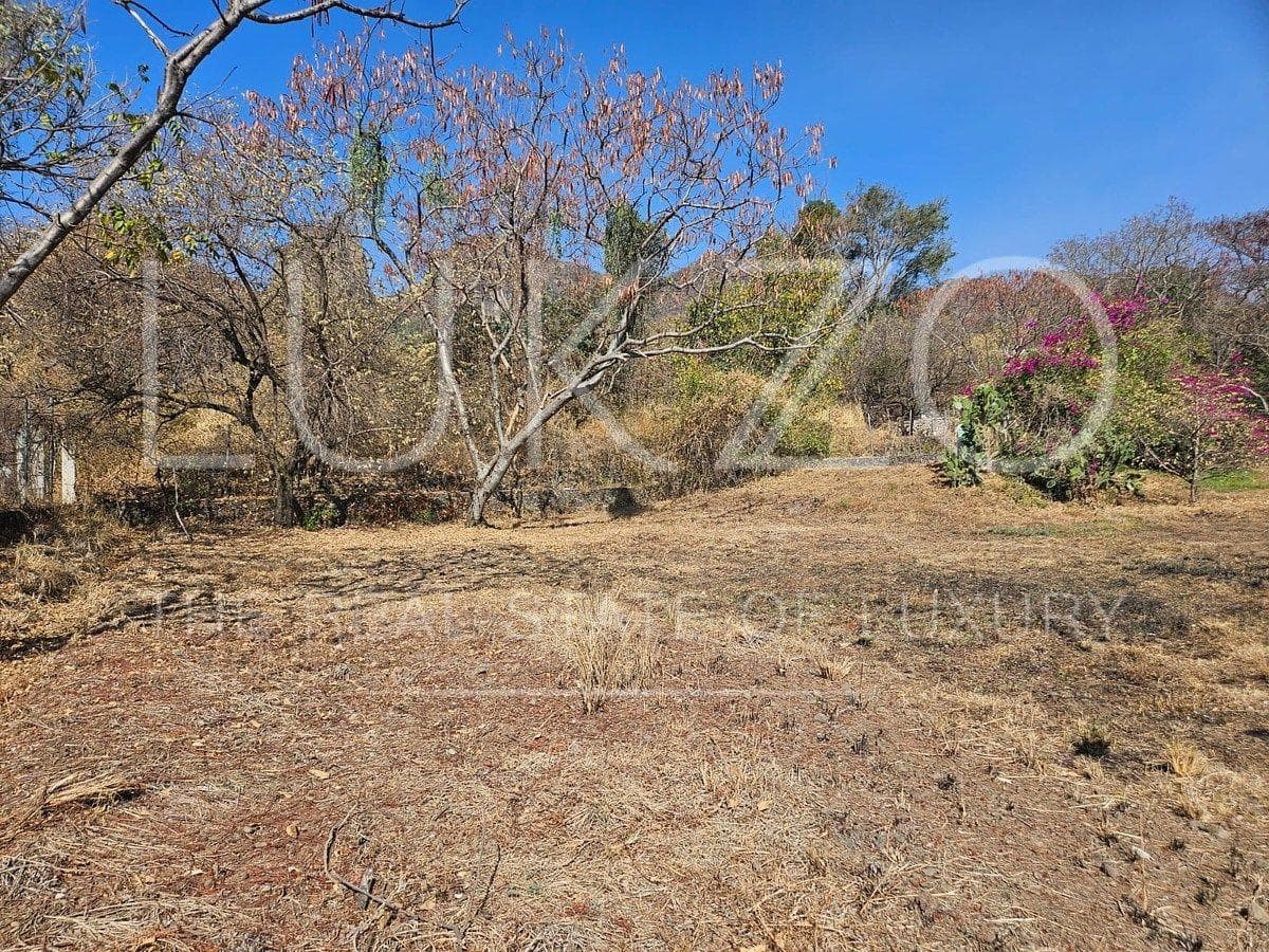 Land for Sale in Santiago Tepetlapa, Tepoztlán
