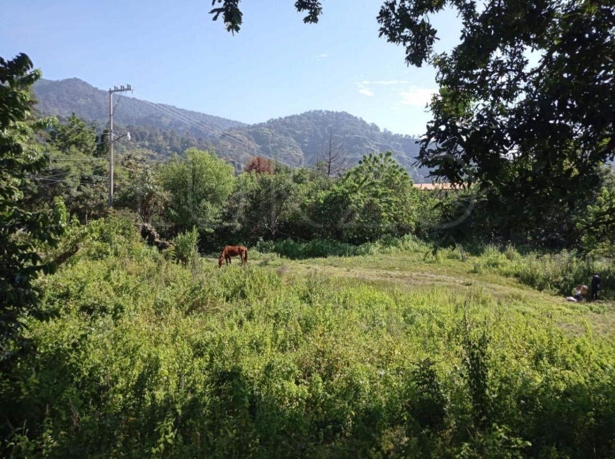 Land for Sale in Tepoztlán