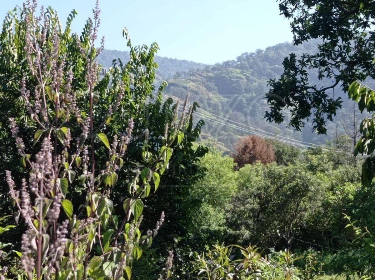 Land for Sale in Tepoztlán
